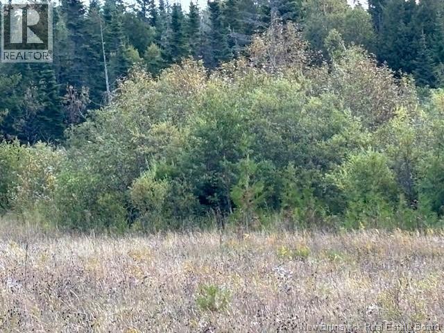 0 Latimore Lake Road, Saint John, NB