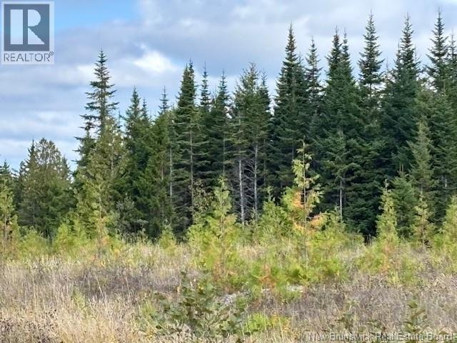 0 Latimore Lake Road, Saint John, NB