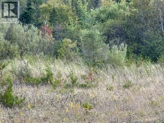 0 Latimore Lake Road, Saint John, NB