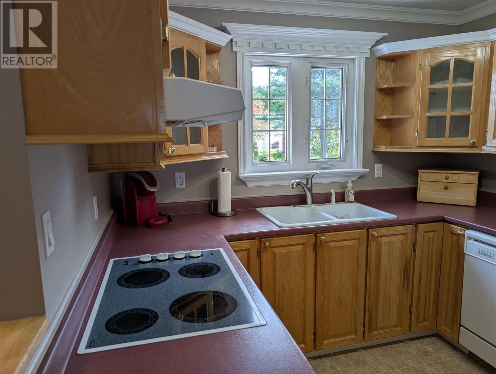 480 Main Street, Triton, NL - Indoor Photo Showing Kitchen With Double Sink