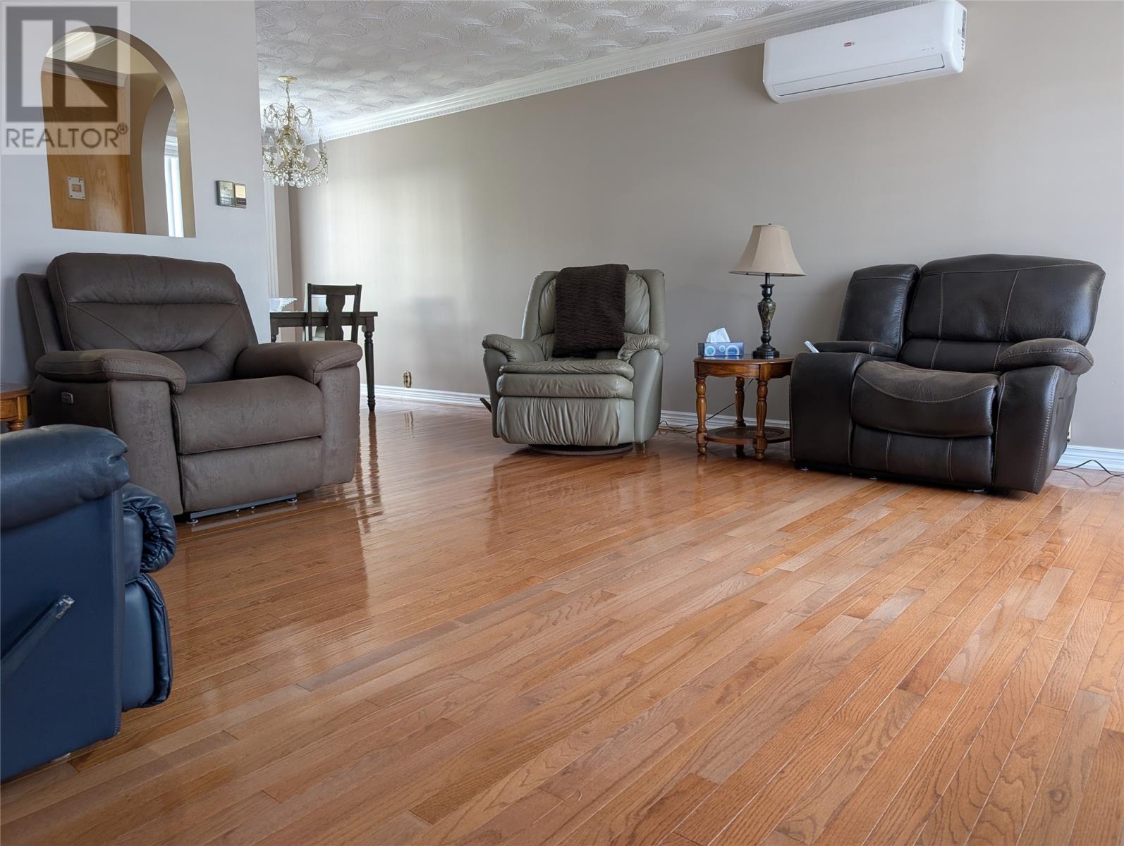 480 Main Street, Triton, NL - Indoor Photo Showing Living Room