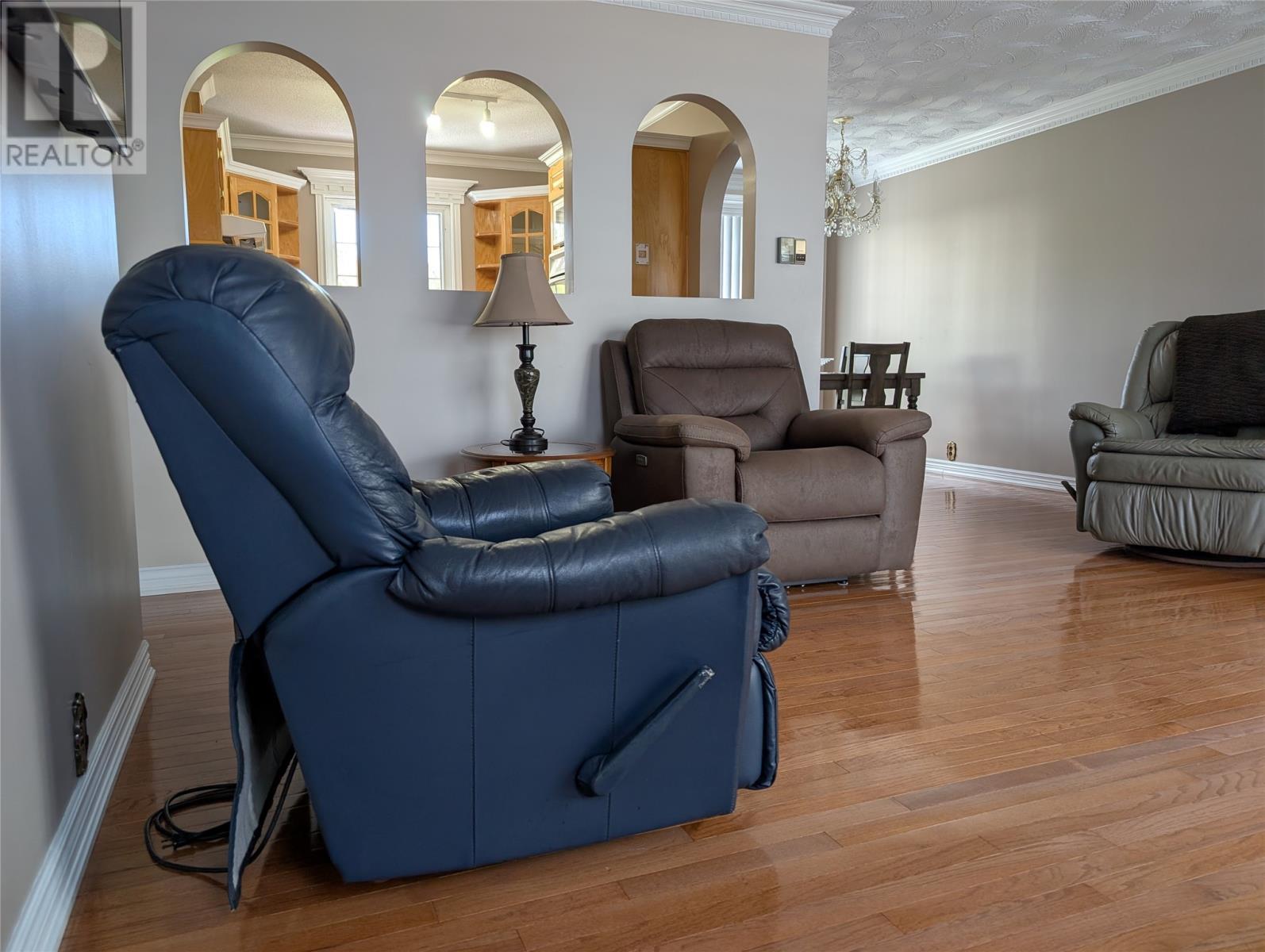 480 Main Street, Triton, NL - Indoor Photo Showing Living Room