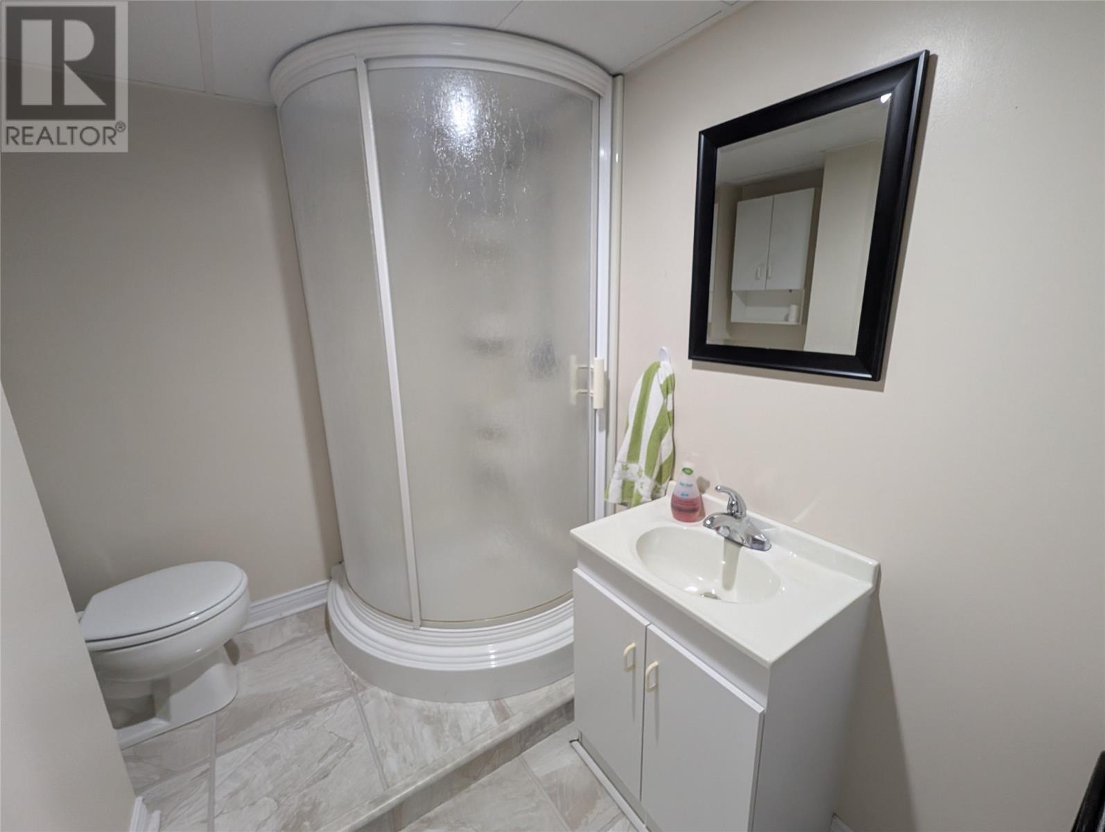 480 Main Street, Triton, NL - Indoor Photo Showing Bathroom