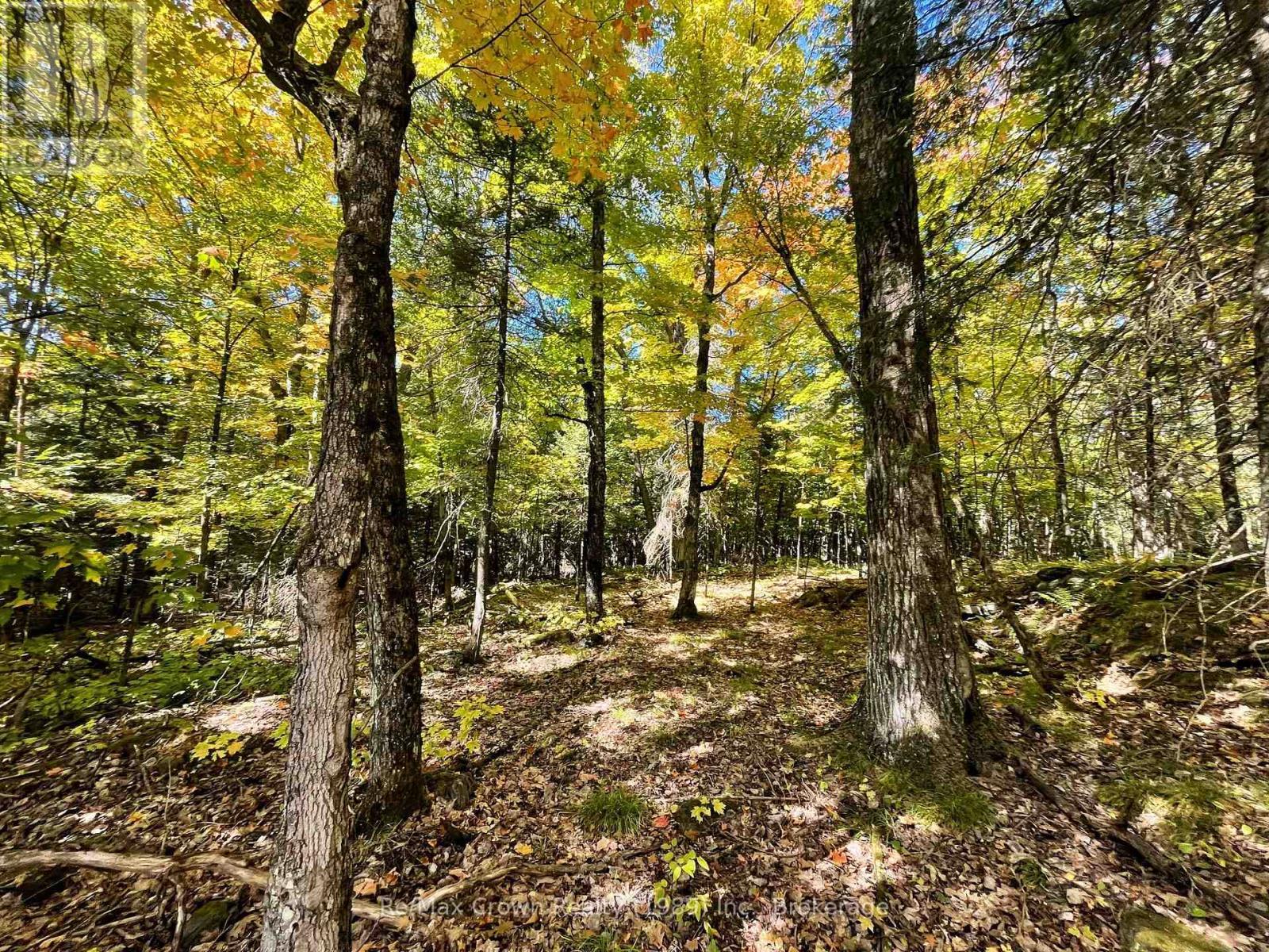 453 Pilgers Road, Nipissing, ON