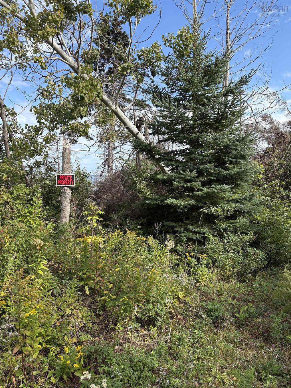 0 Mira Bay Drive, Mira Gut, NS