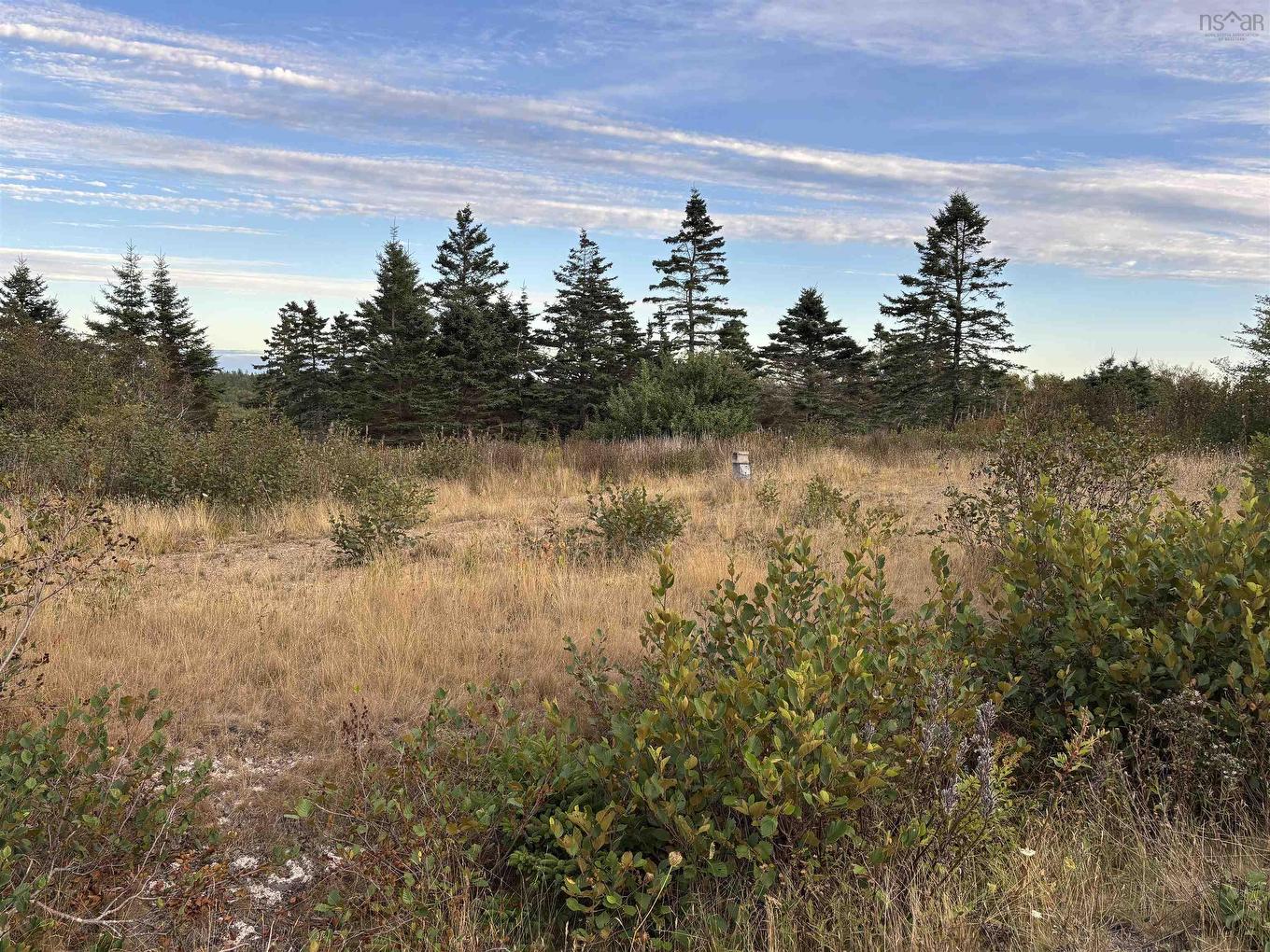 966 Highway 217, Freeport, NS