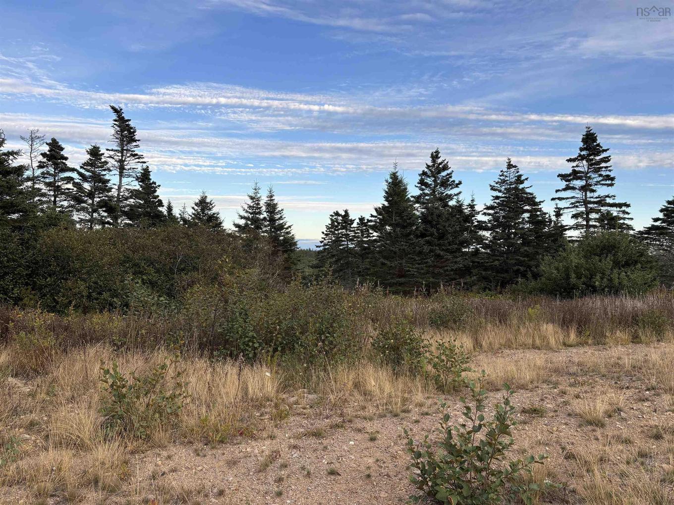 966 Highway 217, Freeport, NS