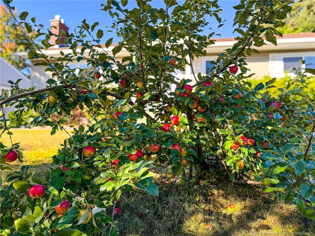 68 Coronation Dr, Moncton, NB