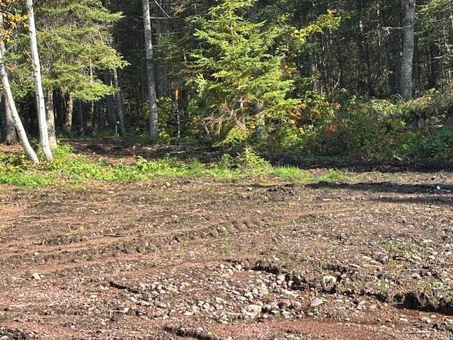 2415 Scott Drive, Mcgregor Shuniah, ON