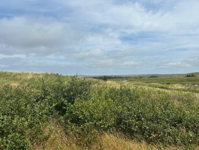 0 Main Road, Portugal Cove South, NL