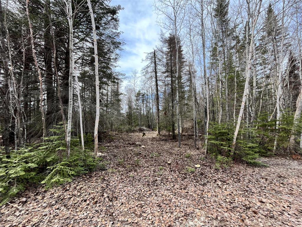 4 Evergreen Road, Victoria Beach, MB