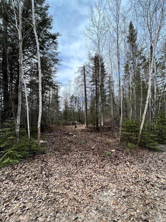 4 Evergreen Road, Victoria Beach, MB