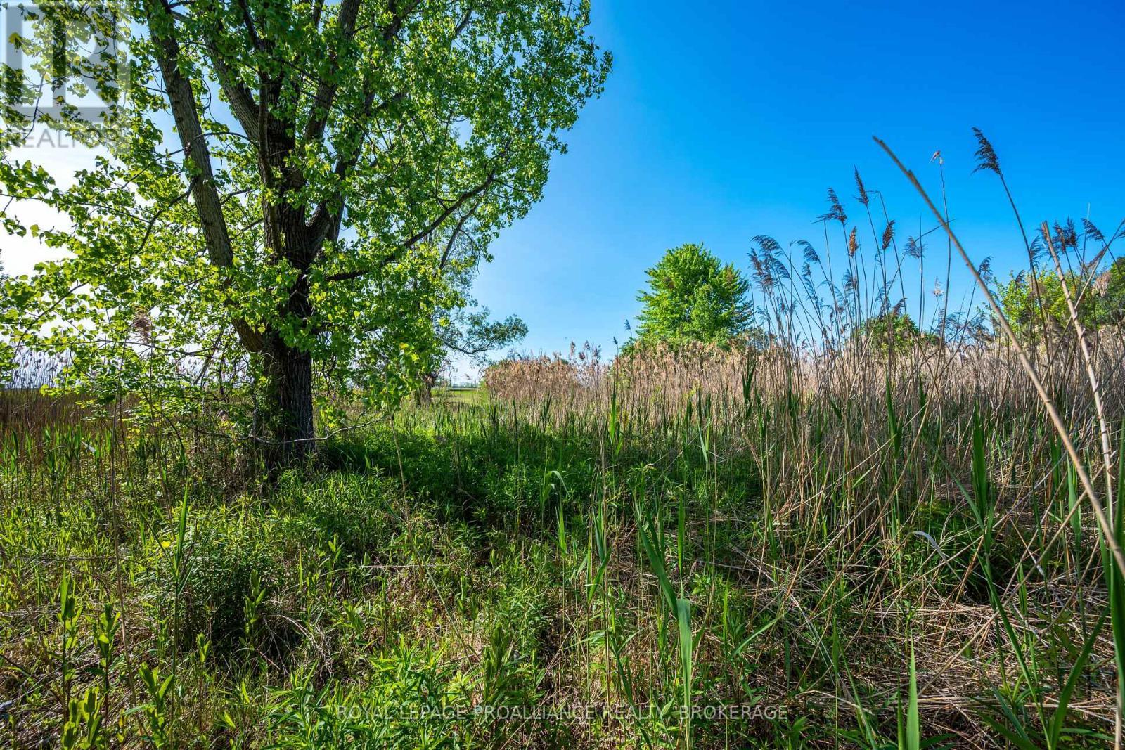 1168 Thousand Island Parkway, Front Of Yonge, ON