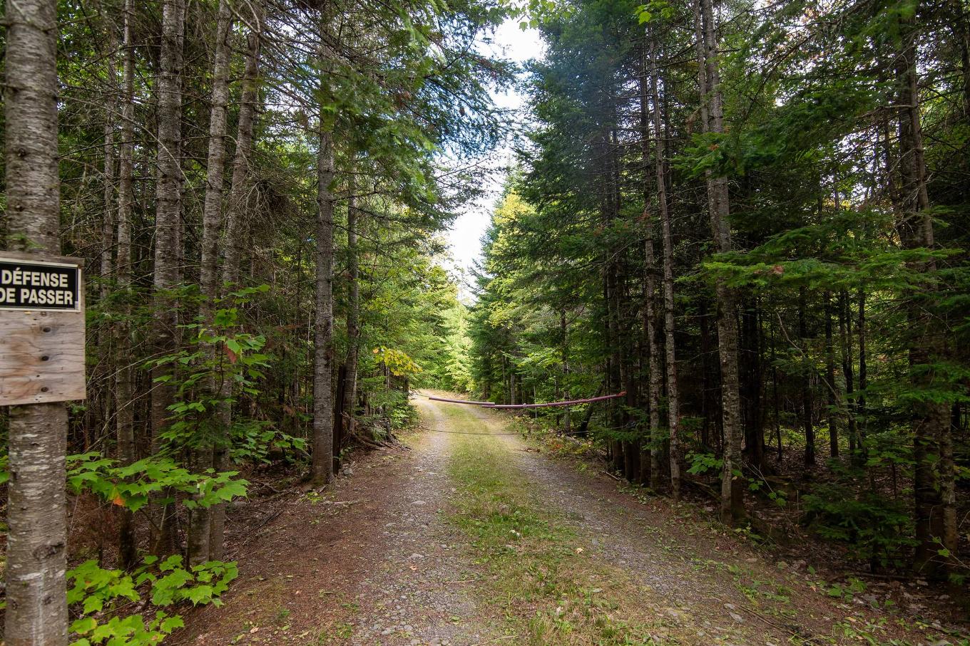 Overall view - A Trav. Des Meuniers, Saint-Bruno-De-Kamouraska, QC - Outdoor With View