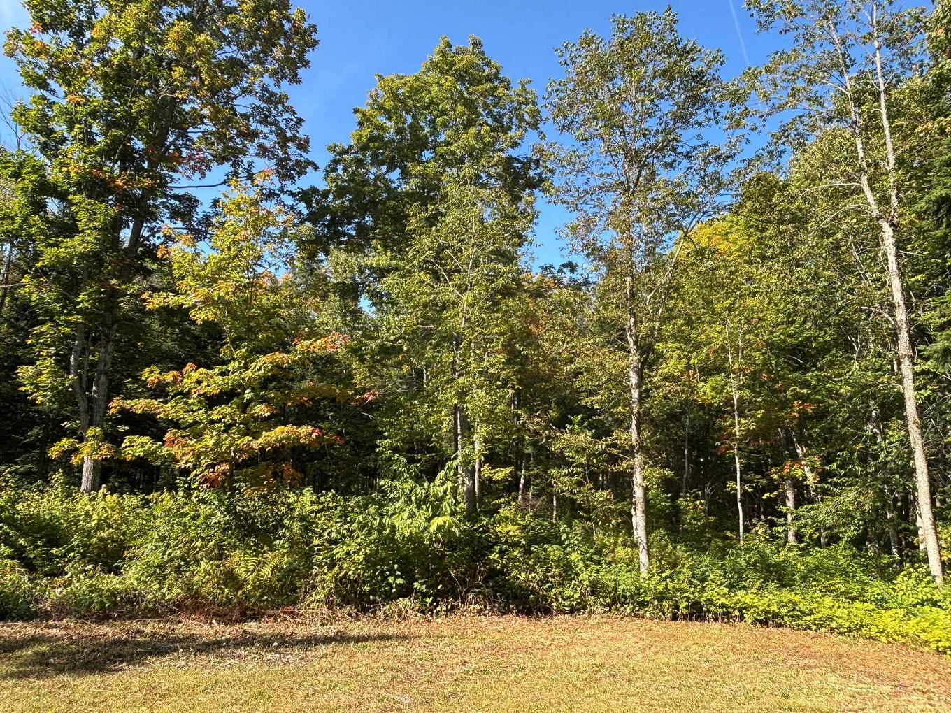Backyard - A Trav. Des Meuniers, Saint-Bruno-De-Kamouraska, QC - Outdoor With View