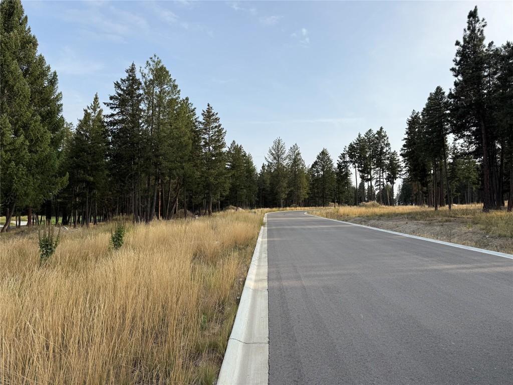 448 Wildstone Close, Cranbrook, BC - Outdoor With View