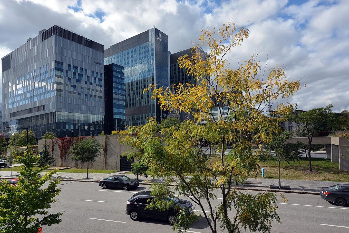 Vue - 203-450 Rue St-Antoine E., Montréal (Ville-Marie), QC - Outdoor