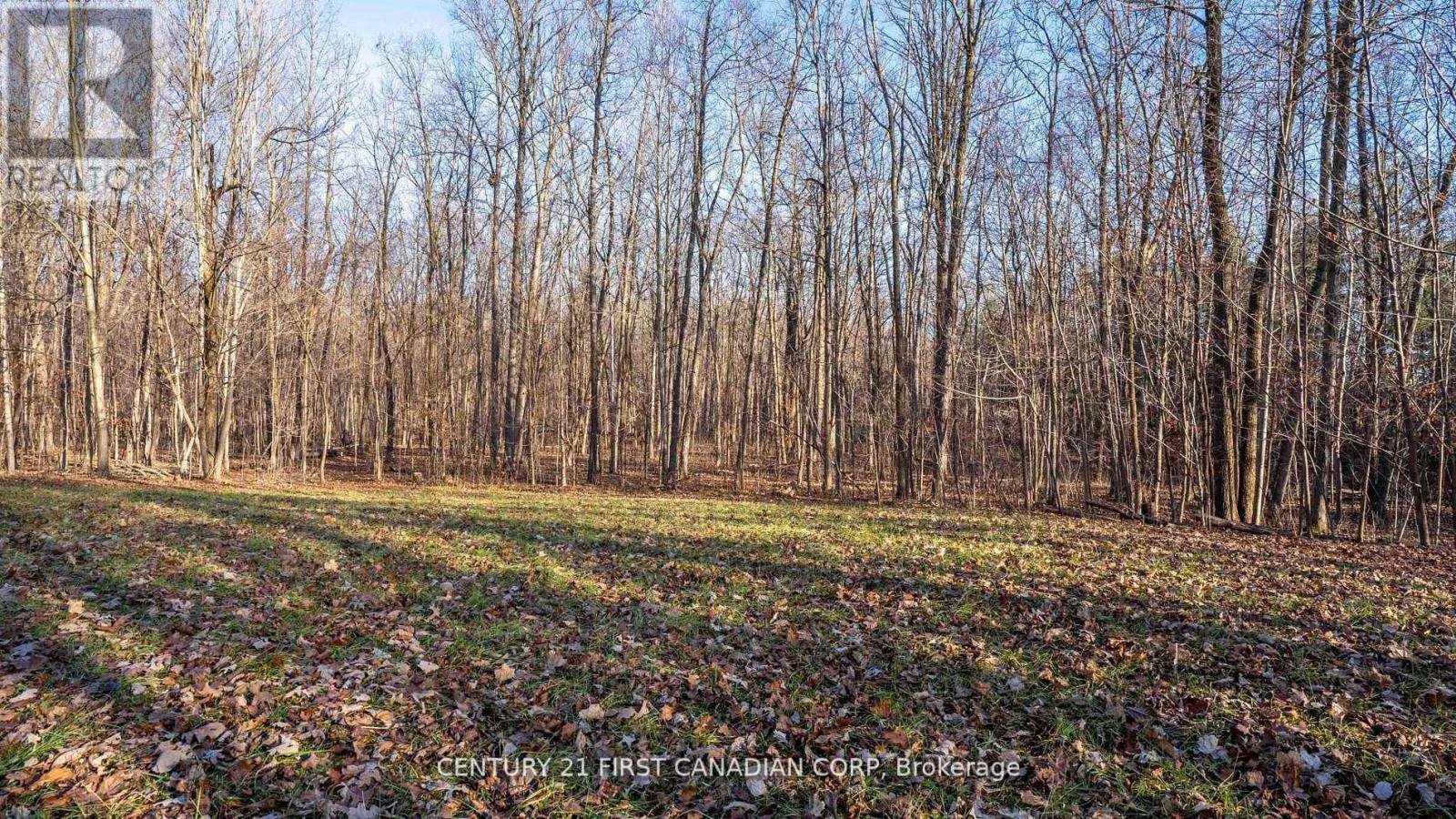 29709 Celtic Line S, Dutton/Dunwich, ON