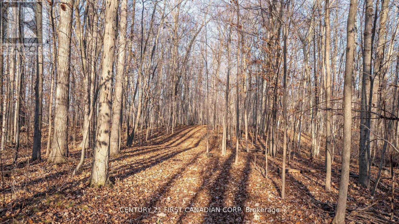 29709 Celtic Line S, Dutton/Dunwich, ON