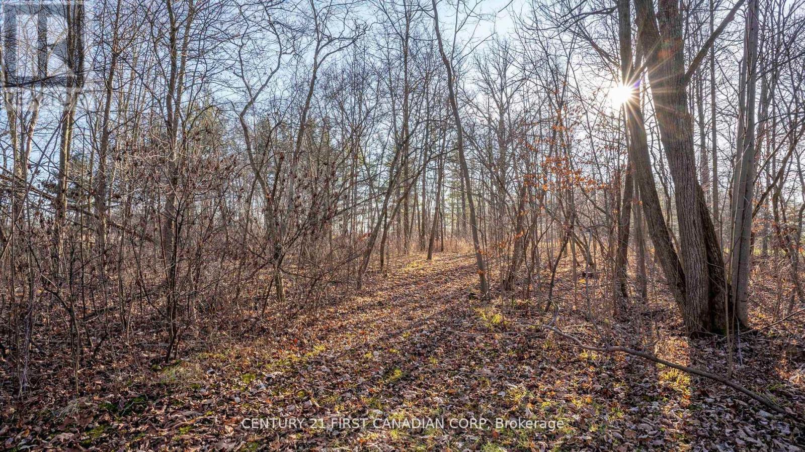 29709 Celtic Line S, Dutton/Dunwich, ON