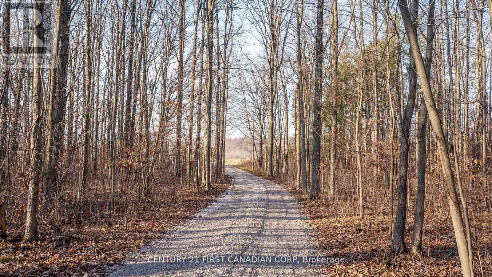 29709 Celtic Line S, Dutton/Dunwich, ON