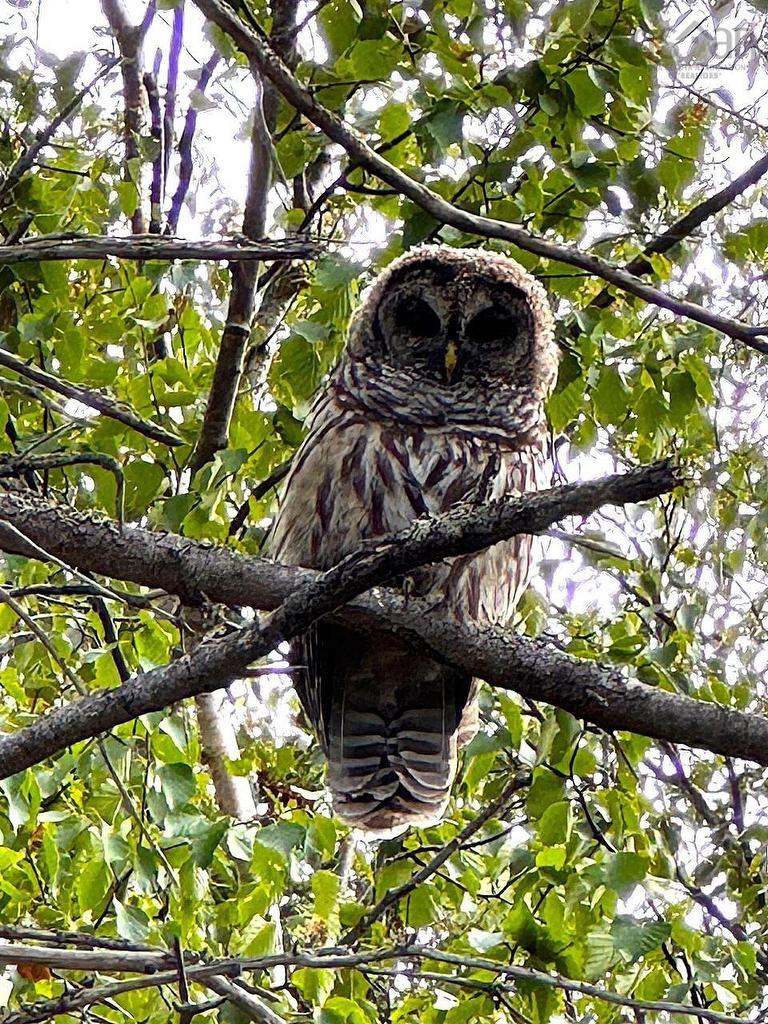 5735 West Bay Rd, Roberta, NS