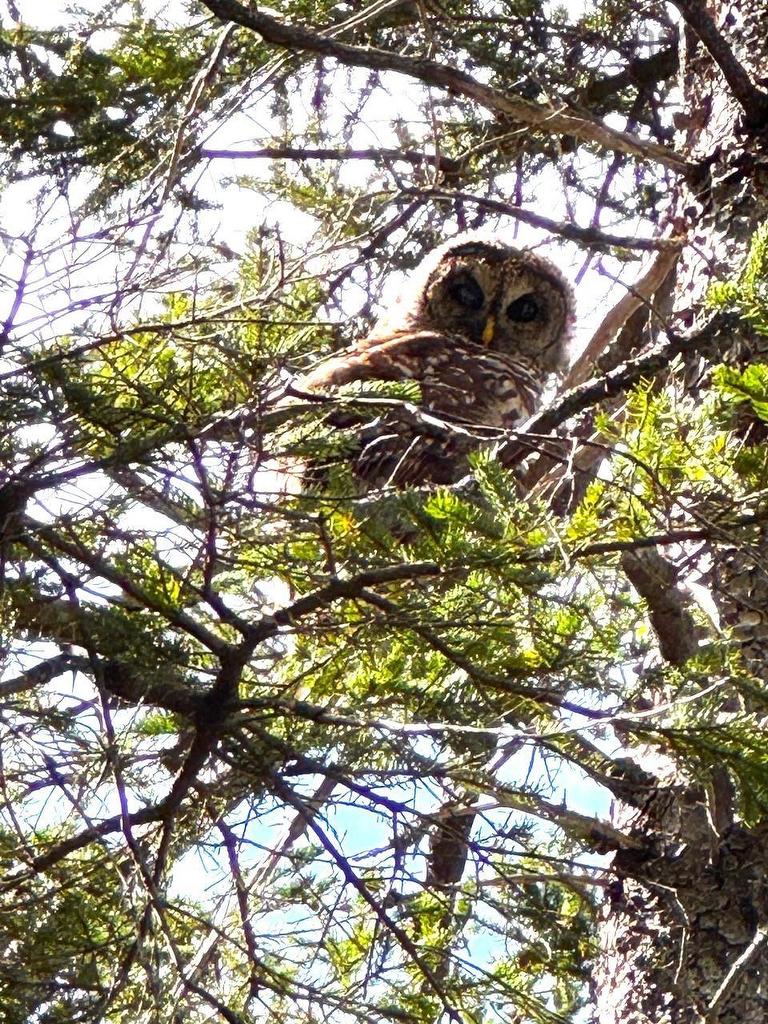 5735 West Bay Rd, Roberta, NS