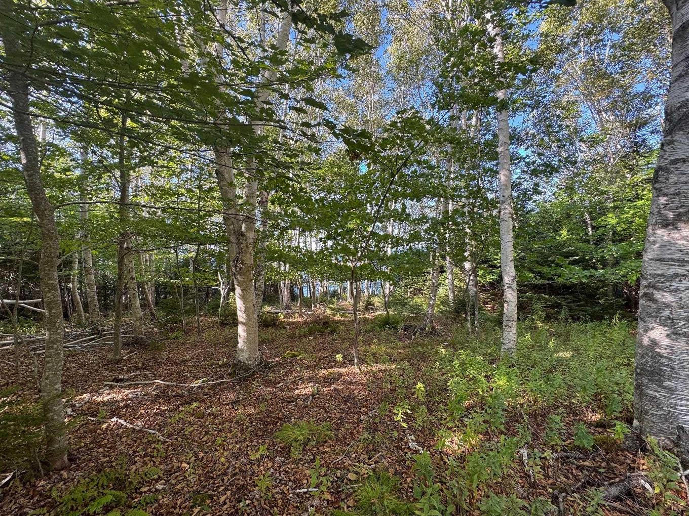 5735 West Bay Rd, Roberta, NS