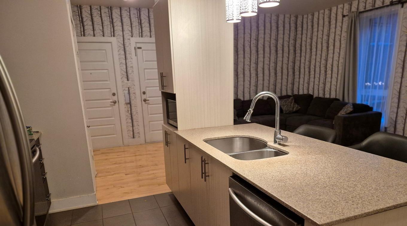 Cuisine - 101-10294 Boul. St-Laurent, Montréal (Ahuntsic-Cartierville), QC - Indoor Photo Showing Kitchen With Double Sink