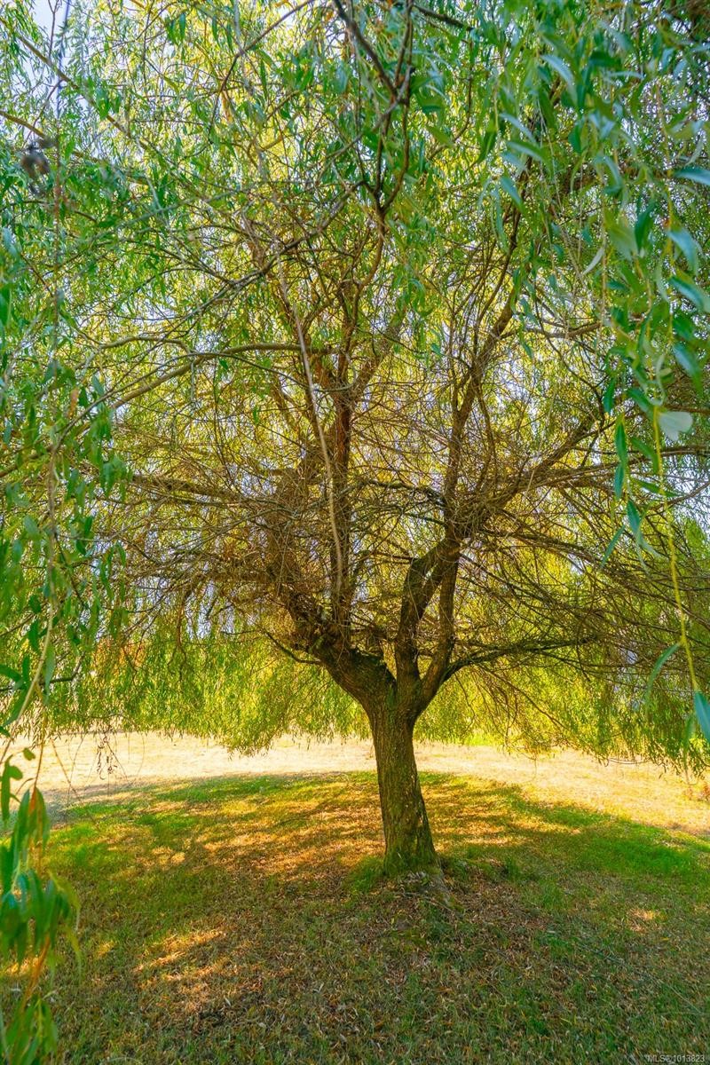 5510 Dundalk Ave North, Port Alberni, BC