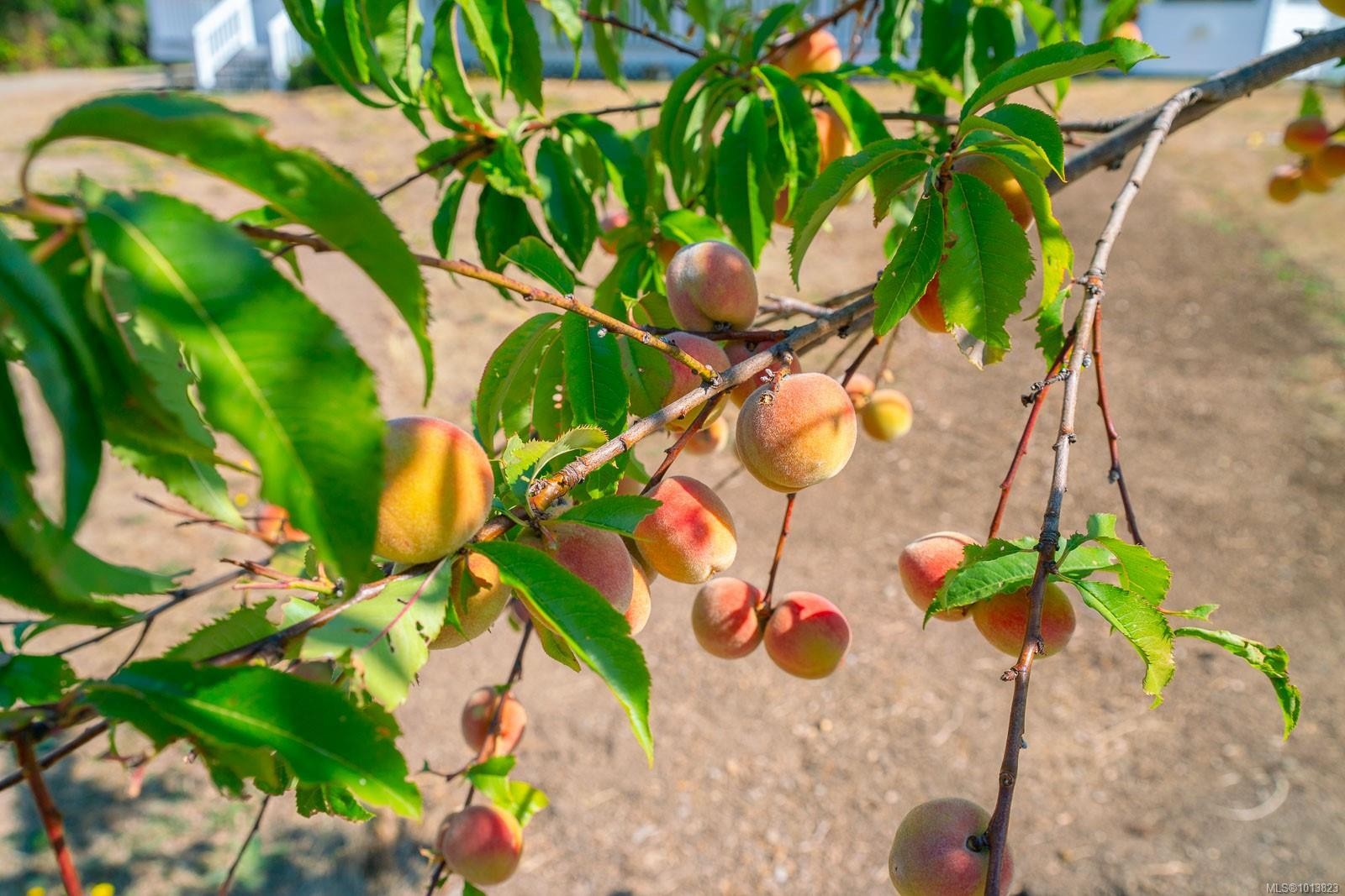 5510 Dundalk Ave North, Port Alberni, BC