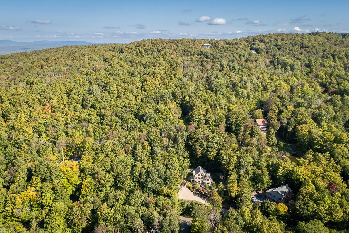 Vue d'ensemble - 201 Ch. De La Sablière, Sutton, QC - Outdoor With View