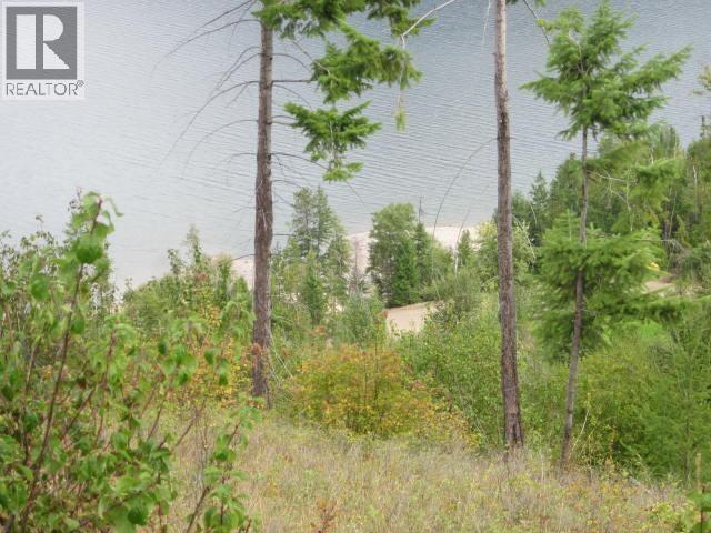 200 Lower Arrow Lake, Castlegar, BC