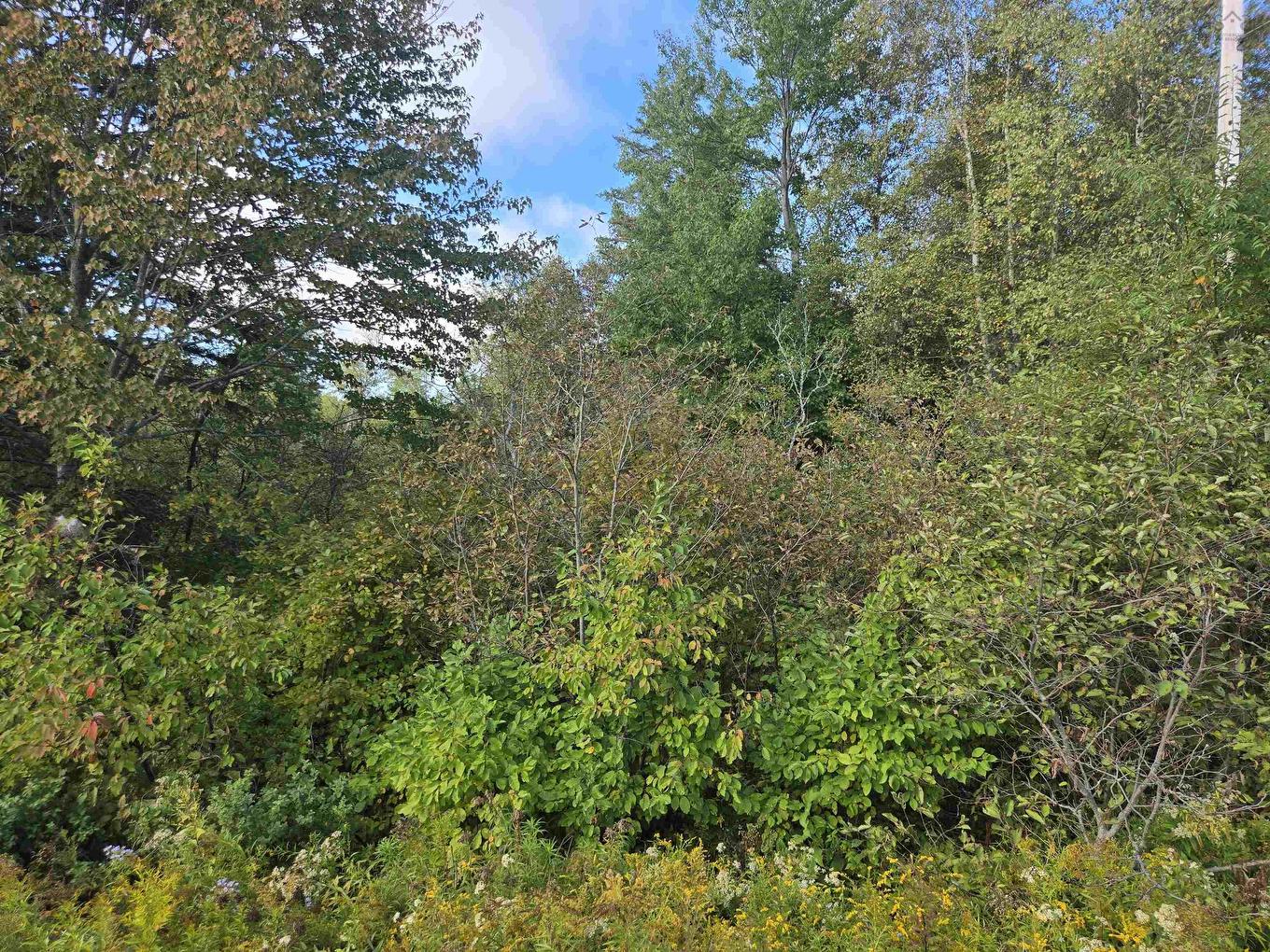 Lot 7 Highway 368, Fountain Road, NS