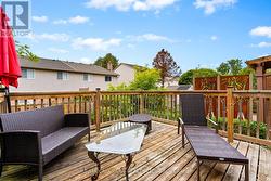 Low maintenance yard -