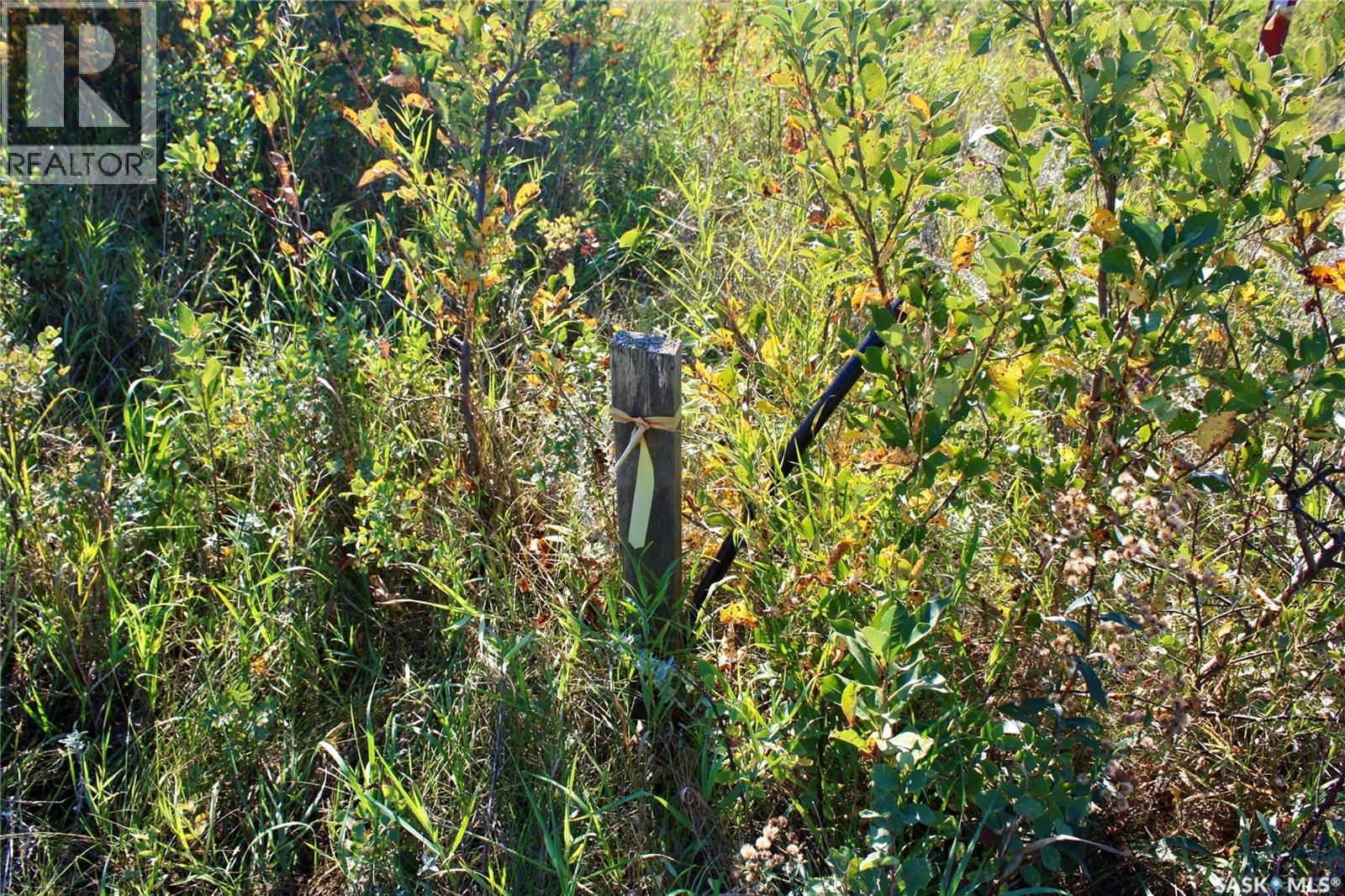 3 David Shiels Road, Dundurn Rm No. 314, SK