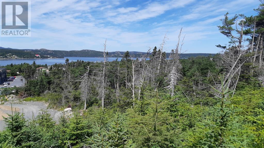 9 Fureys Woodpath, Holyrood, NL