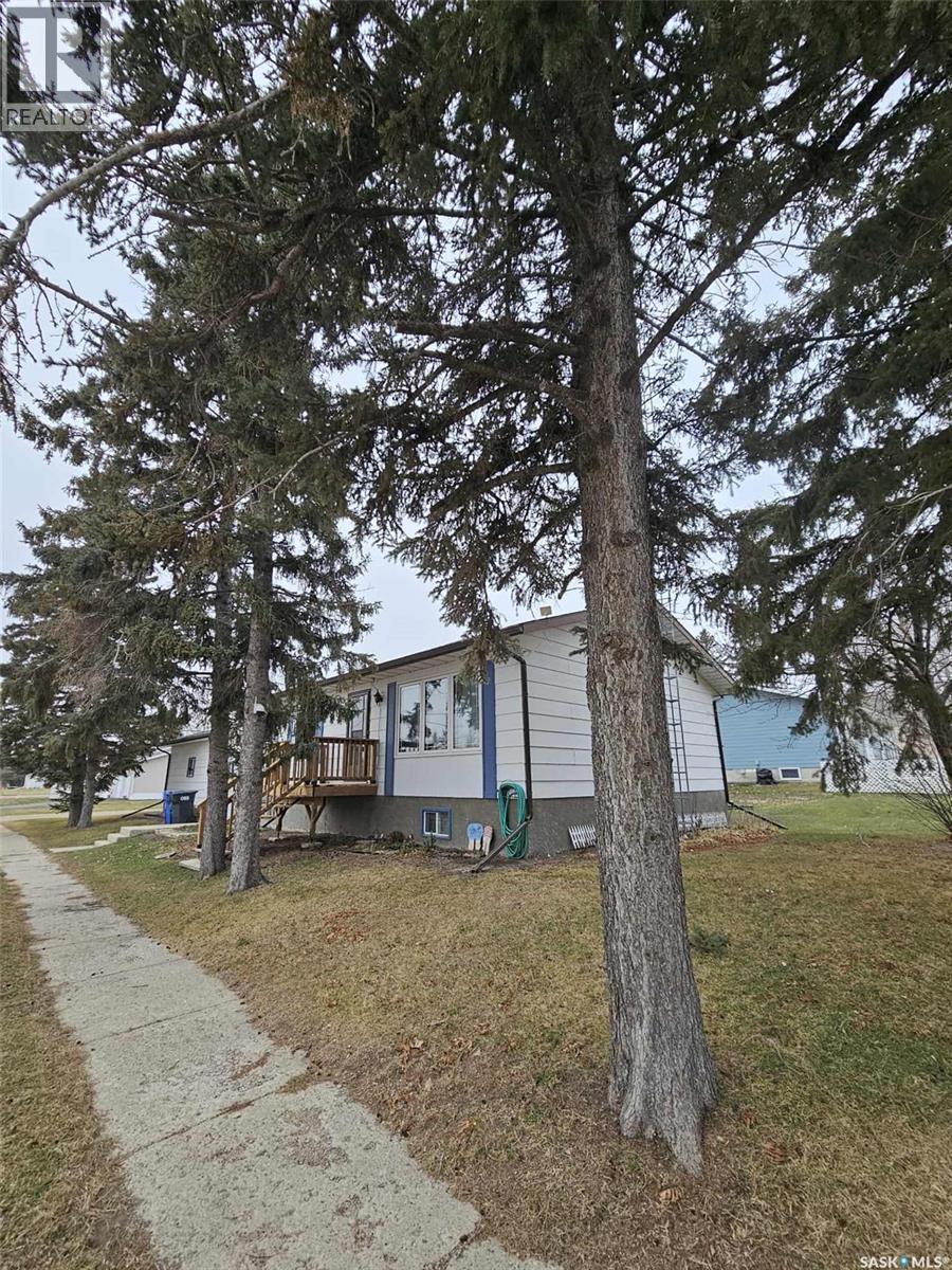 219 Carl Avenue E, Langenburg, SK - Outdoor