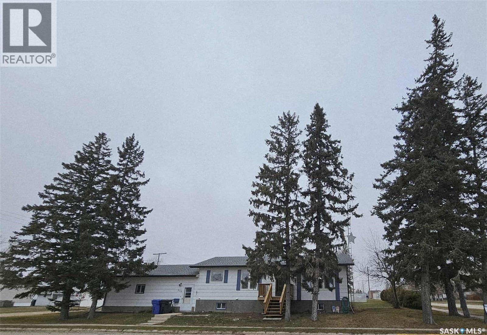 219 Carl Avenue E, Langenburg, SK - Outdoor