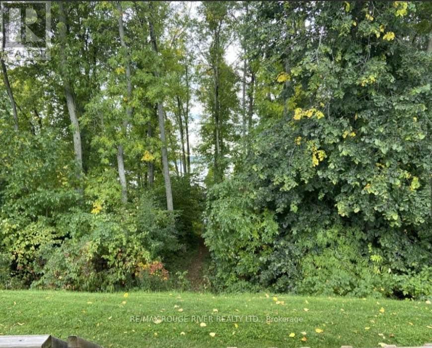 1235 Villiers Line, Otonabee-South Monaghan, ON - Outdoor