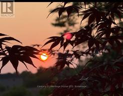 beautiful sunsets from the back deck. -