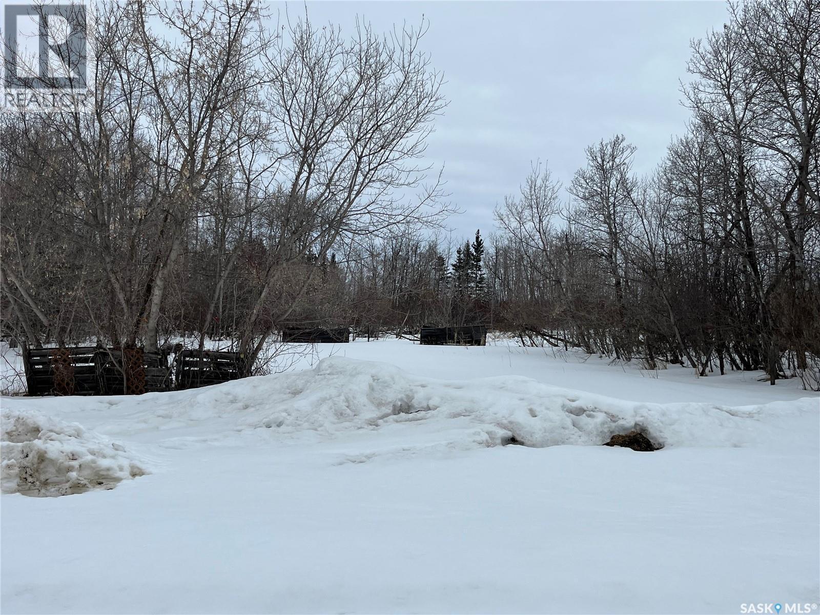 Rural Address, Rose Valley, SK - Outdoor With View