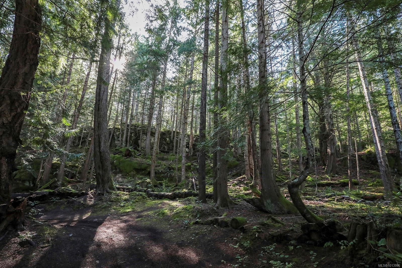 651 Gorge Harbour, Cortes Island, BC