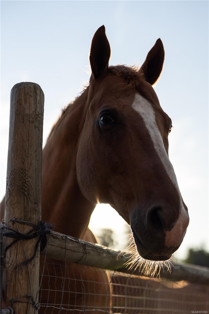 7756 West Saanich Rd, Central Saanich, BC