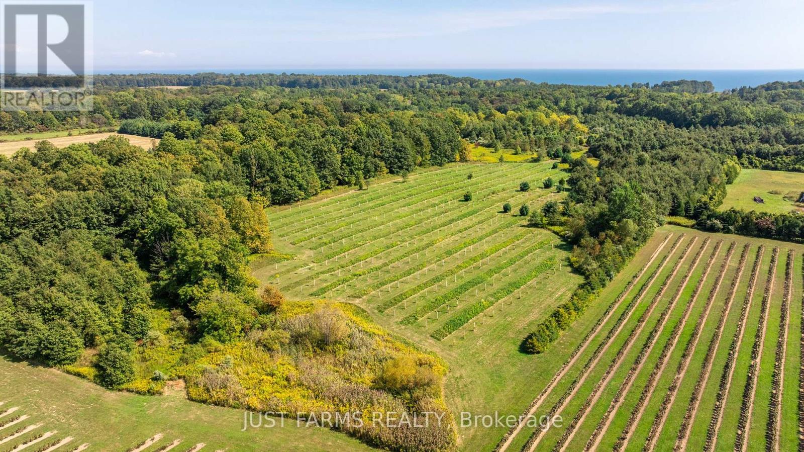 22889 Talbot Line, West Elgin, ON