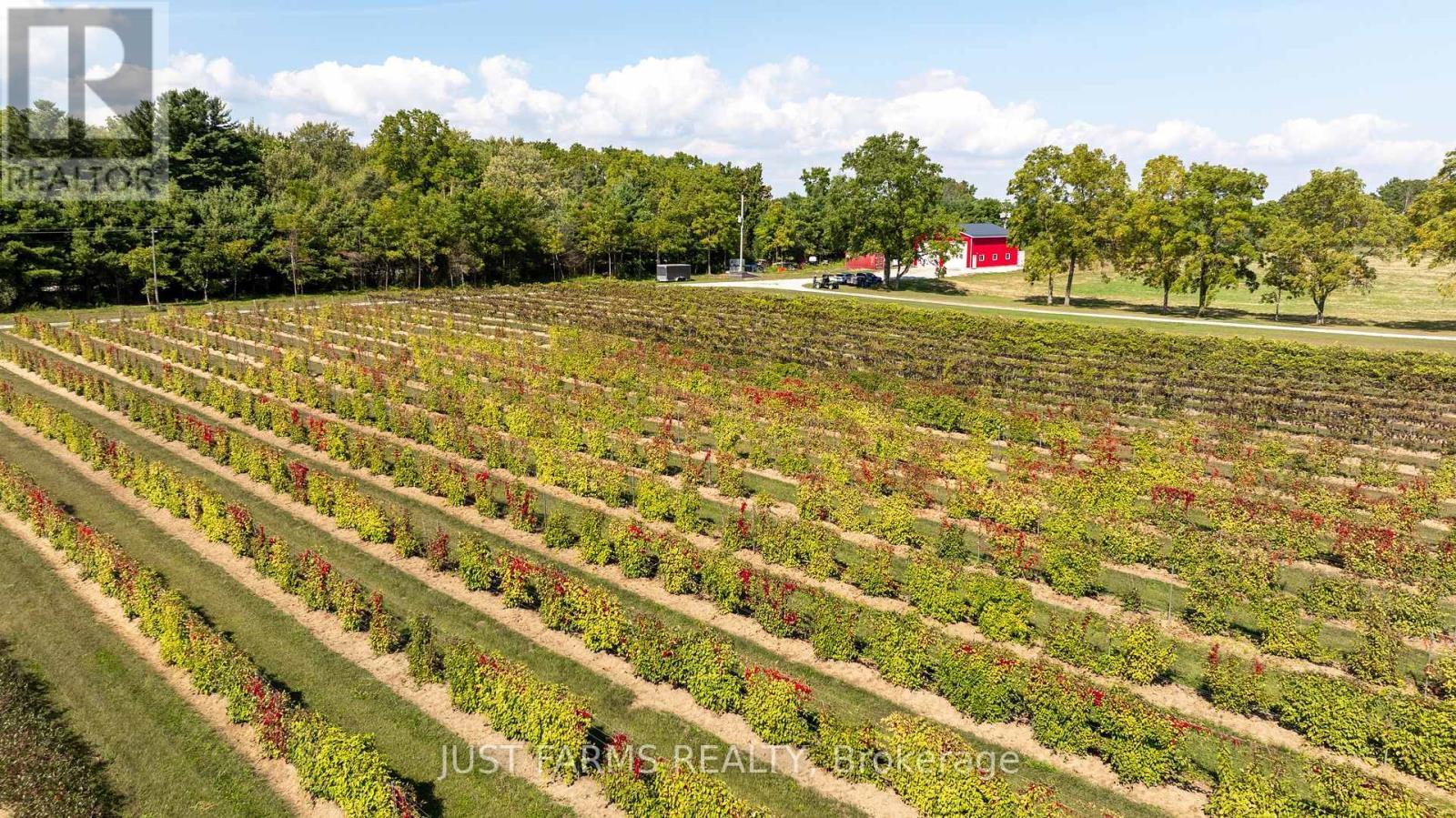 22889 Talbot Line, West Elgin, ON