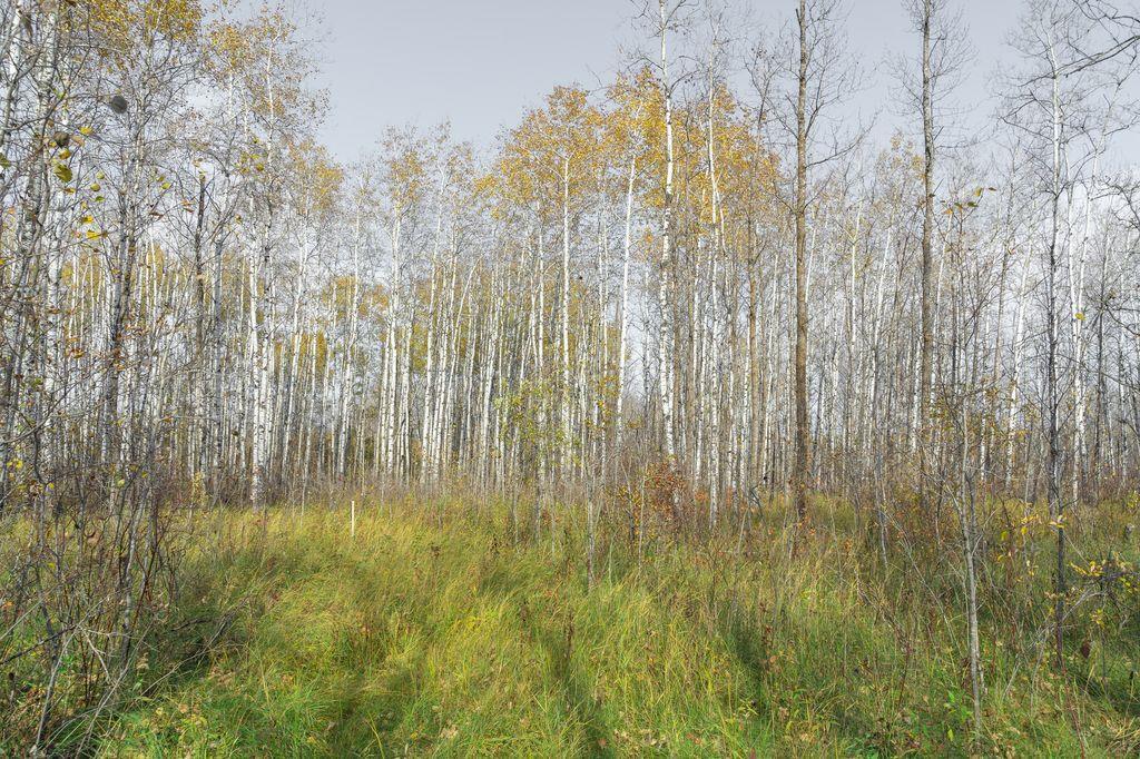 46120 43E Road, Ste Anne Rm, MB