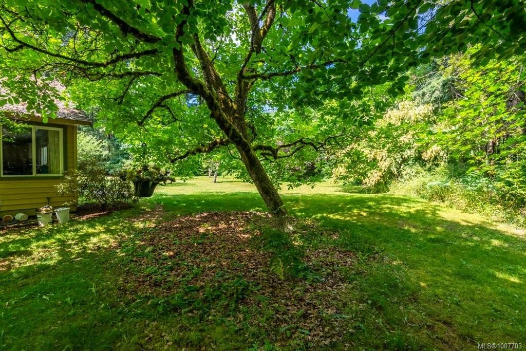 3951 Forbidden Plateau Rd, Courtenay, BC