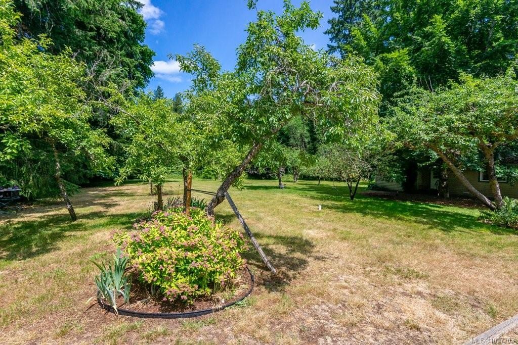 3951 Forbidden Plateau Rd, Courtenay, BC