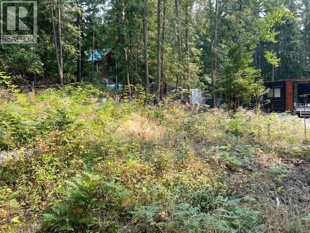 7283 Estate Place, Anglemont, BC